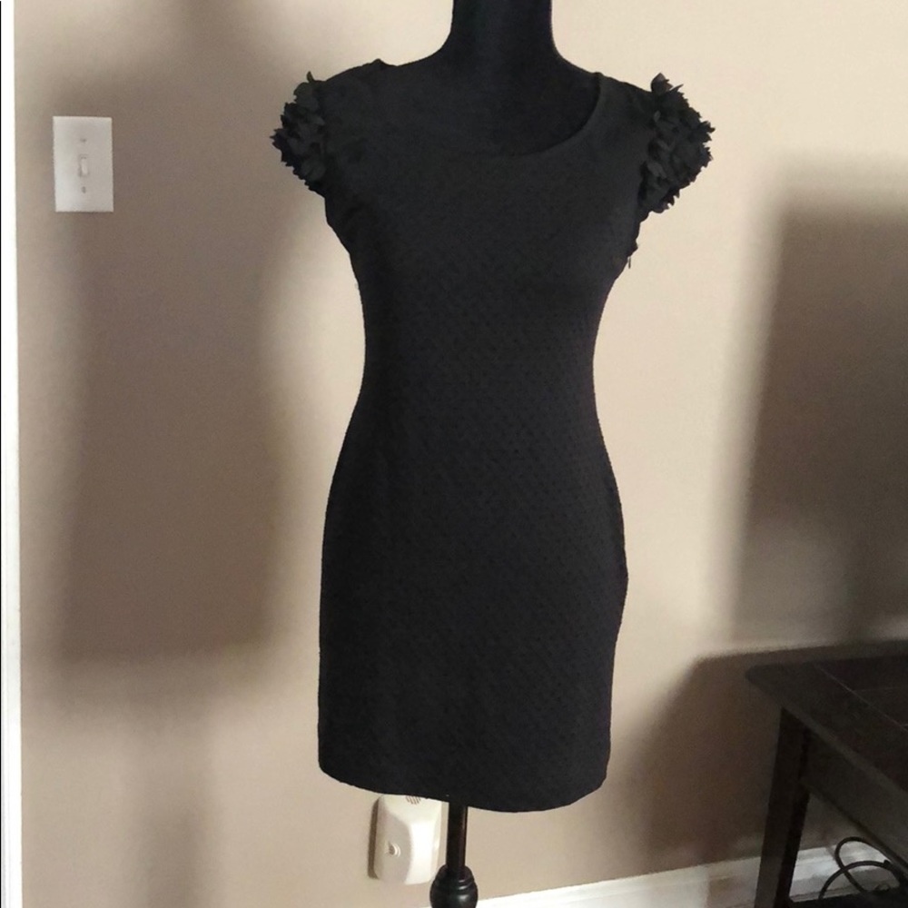 Anthropologie Esley Beautiful Black dress NWOT